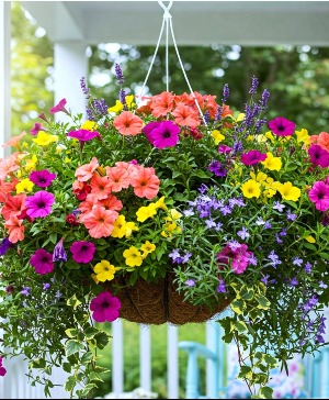 Mother's Day Flowers Spruce Pine, NC | SPRUCE PINE FLORIST