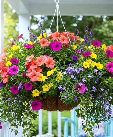 FLOWERING HANGING BASKET  in Spruce Pine, NC | SPRUCE PINE FLORIST