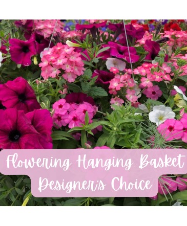 Flowering Hanging Basket Designer's Choice  in Charlevoix, MI | CHARLEVOIX FLORAL