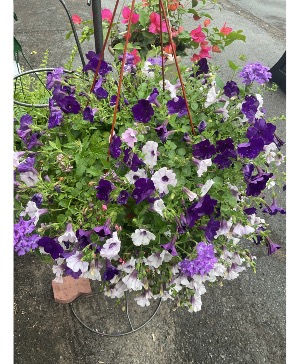 Flowering hanging baskets 