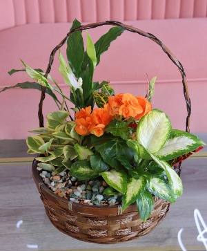 Flowering Tropicals Planter Basket