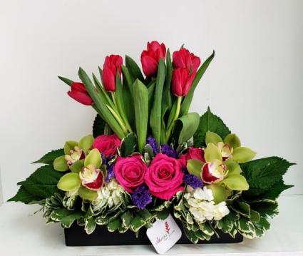 Flowers Colorfull Explotion Designer's Choice