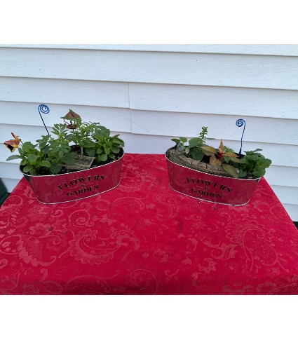 Flowers & Garden Fairy garden