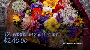 FLOWERS OF THE WEEK CLUB: 12 WEEKS IN STORE PICKUP ONLY