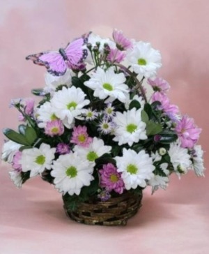 Fluttering Butterfly Basket FHF-M02 Fresh Flower Arrangement (Local Delivery Area Only)