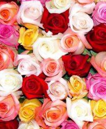 FOR BRIAN Roses in Mineral Wells, TX | The Flower Shop