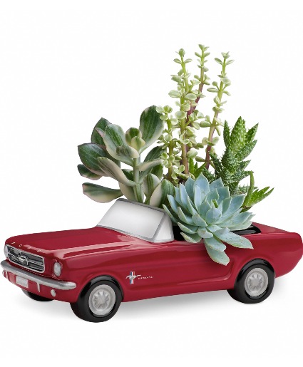  Ford Mustang Succulent Garden  