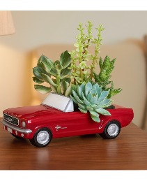 Ford Mustang Wheels arrangment 