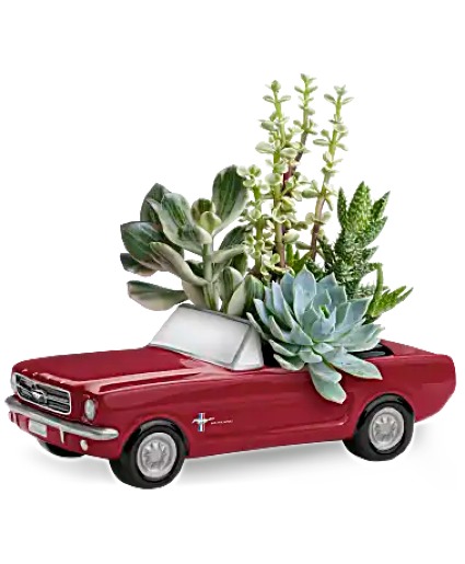 Ford Succulent Keepsake
