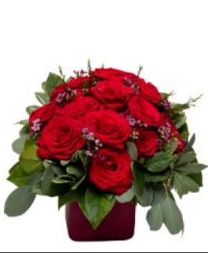 Dozen Red Roses Impact Style 