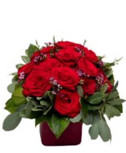 Dozen Red Roses Impact Style 