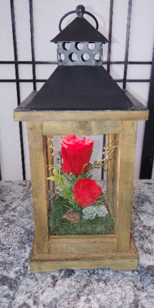 Forever Lantern Rose Amor