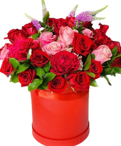 FOREVER LOVE Love is in the air 