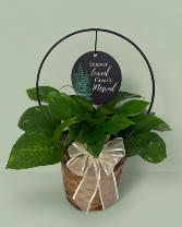 Forever Loved Basket 