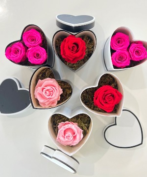 Forever Rosa 