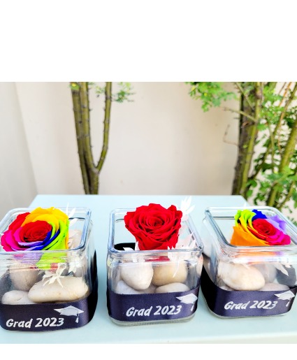 Forever Rose In A Square Vase 