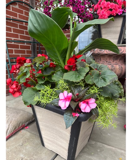 Forrest of Love Planter Pot