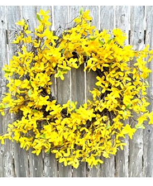 Forsythia Silk Wreath 