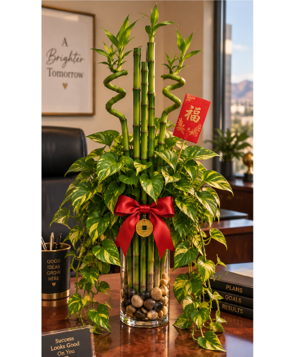 Fortune in Full Bloom Call Us for Faster Service & Daily Specials: (915) 303-8500 Text Us to Order Anytime: (915) 505-3708 Your trusted source for Flowers & Delivery in El Paso TX 