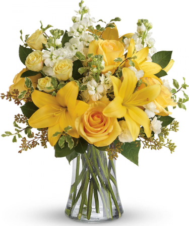 Beautiful Yellow Roses 