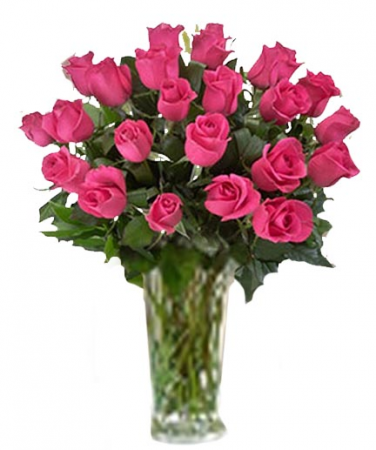 Hot Pink Roses 1 Dozen, 2 Dozen or 3 Dozen