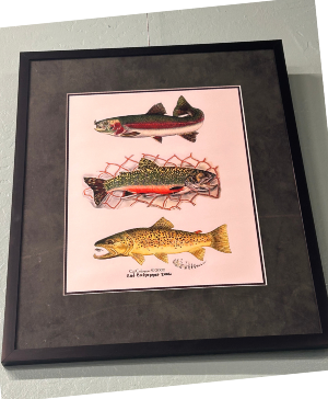 Framed Fish Art art
