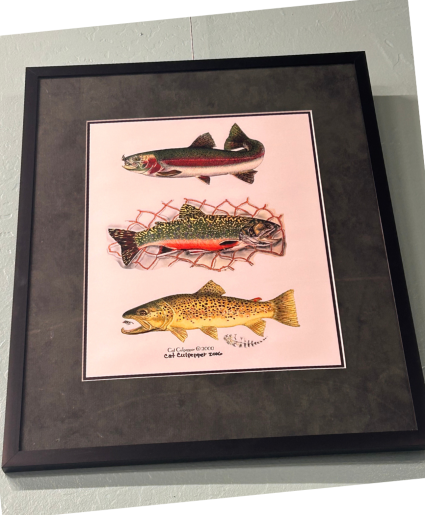 Framed Fish Art art