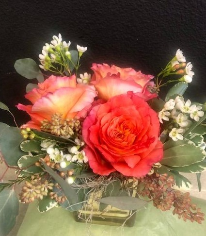 Three's A Charm Enchanted Free Spirit Roses