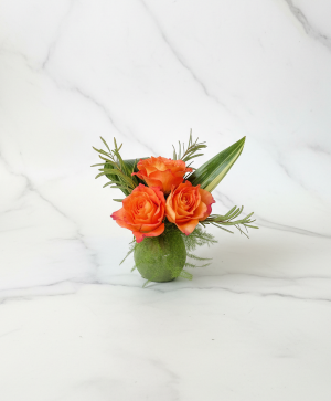 Free Spirit Trio Powell Florist Exclusive
