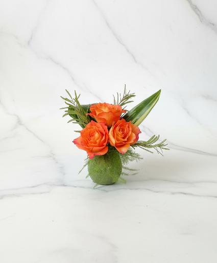 Free Spirit Trio Powell Florist Exclusive