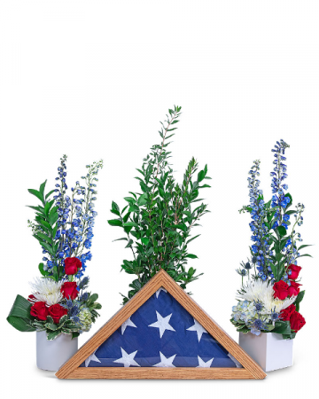 Freedom Tribute Sympathy