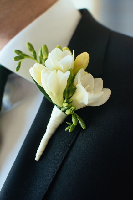 Freesia Delight 