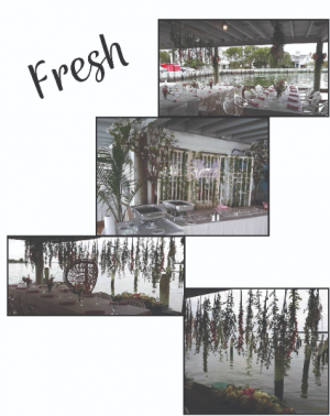 Fresh 