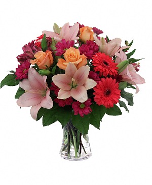 Fresh and Beautiful 