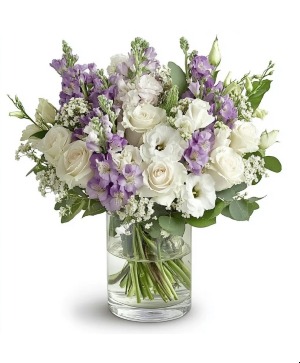 fresh and Lovely 