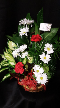 Fresh as a daisy planter