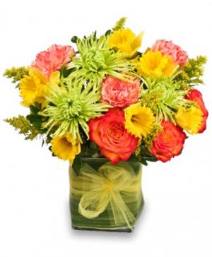 Fresh As April Spring Flowers