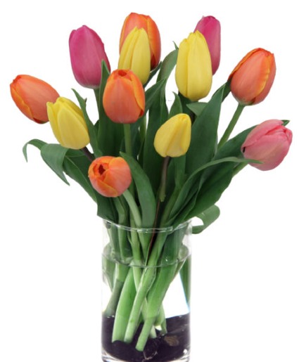 Fresh Day Tulip Arrangement
