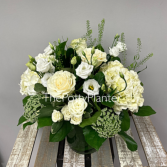 Fresh elegance  