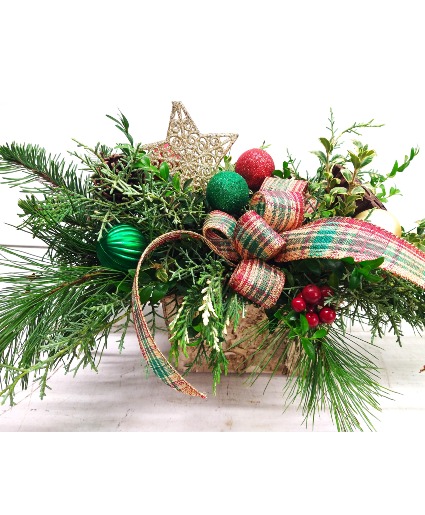Fresh Evergreens in Birch Box 