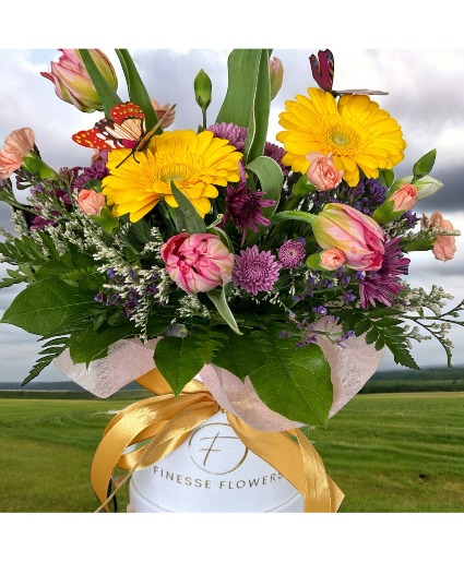 Sunkissed Velvet box arrangement