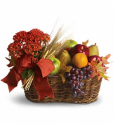 Fresh Picked Fruit & Flowering Plant 