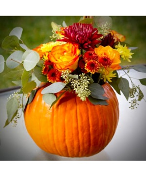 Fresh Pumpkin Fall Arrangement