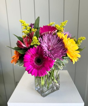 Freshly Picked 
