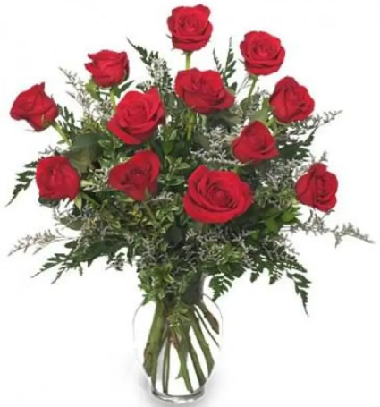  Classic Freedom Dozen Roses SPECIAL!!!