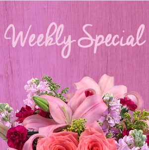 Friday Special  Designer's Choice