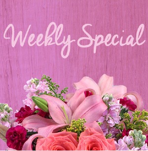 Friday Weekly Special  Designer's Choice