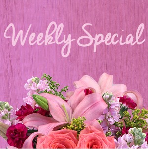 Friday Weekly Special  Designer's Choice
