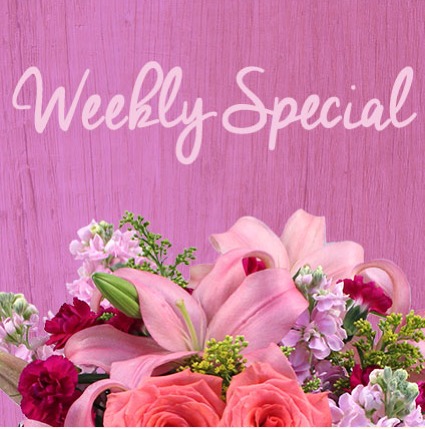 Friday Weekly Special  Designer's Choice