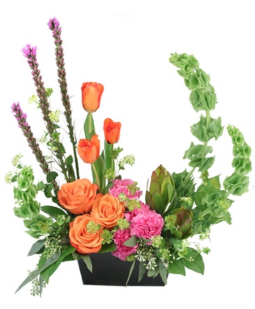 Friendly Embrace Floral Design  in Dunnellon, FL | Blue Creek Florist